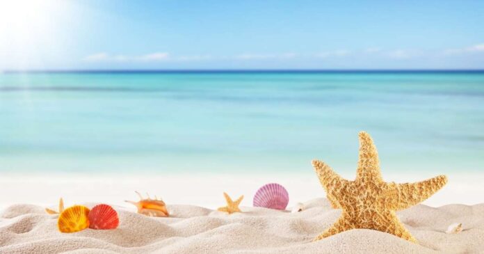 Social Media Abo-Rabatte Sommer 2025-Socialmedia aktuell