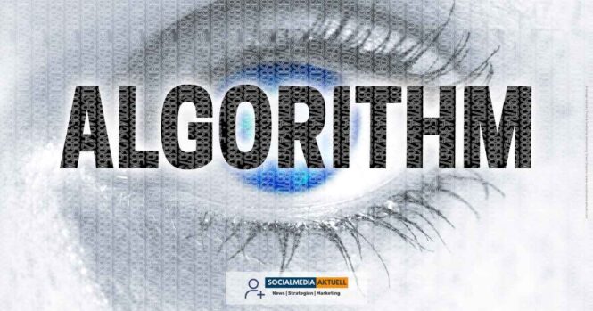 X KI-Algorithmus-Socialmedia-aktuell